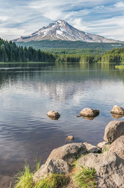 Picture of OREGON-MT HOOD NATIONAL FOREST TRILLIUM LAKE AND MT HOOD