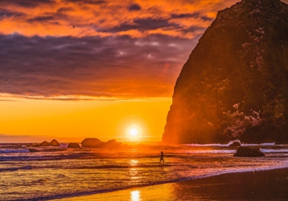 Picture of PLAYING BIRDS COLORFUL SUNSET-HAYSTACK ROCK-CANON BEACH-CLATSOP COUNTY-OREGON-ORIGINALLY DISCOVERED
