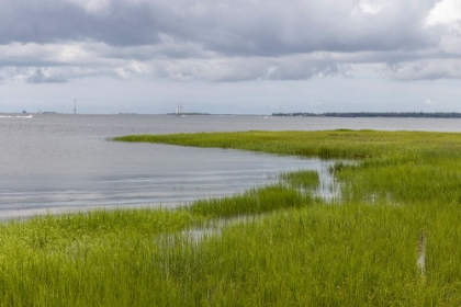 Picture of USA-SOUTH CAROLINA-CHARLESTON