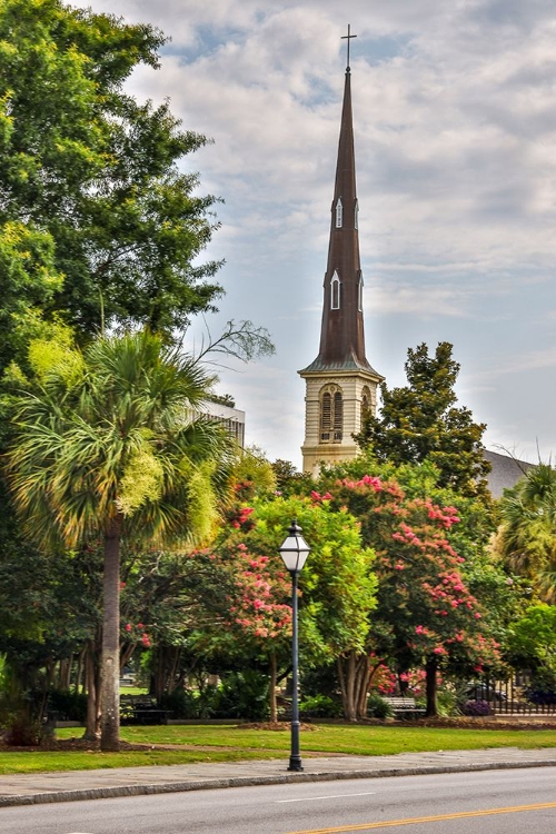 Picture of USA-SOUTH CAROLINA-CHARLESTON