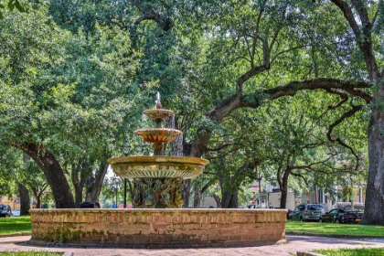 Picture of USA-SOUTH CAROLINA-CHARLESTON