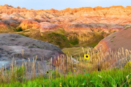 Picture of A PAINTERLY IMAGE OF SOFTER HOODOOS SET AGAINST A ROW OF WILDFLOWERS AND GRASS