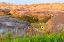 Picture of A PAINTERLY IMAGE OF SOFTER HOODOOS SET AGAINST A ROW OF WILDFLOWERS AND GRASS