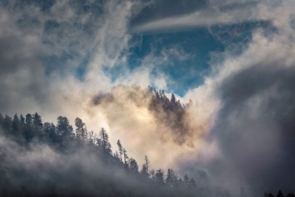 Picture of MIST AND SUNLIGHT IN THE MOUNTAINS-GREAT SMOKY MOUNTAIN NATIONAL PARK-TENNESSEE