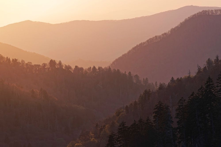 Picture of SUNSET FROM MORTON OVERLOOK-GREAT SMOKY MOUNTAINS NATIONAL PARK-TENNESSEE