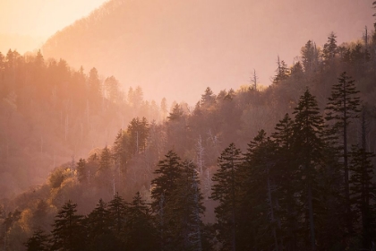 Picture of SUNSET FROM MORTON OVERLOOK-GREAT SMOKY MOUNTAINS NATIONAL PARK-TENNESSEE