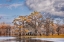 Picture of BALD CYPRESS TREES IN AUTUMN CADDO LAKE-UNCERTAIN-TEXAS