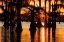Picture of BALD CYPRESS TREES SILHOUETTED AT SUNSET CADDO LAKE-UNCERTAIN-TEXAS