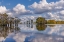 Picture of BALD CYPRESS TREES IN AUTUMN REFLECTED ON LAKE CADDO LAKE-UNCERTAIN-TEXAS