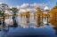 Picture of BALD CYPRESS TREES IN AUTUMN REFLECTED ON LAKE CADDO LAKE-UNCERTAIN-TEXAS