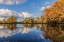 Picture of BALD CYPRESS TREES IN AUTUMN REFLECTED ON LAKE CADDO LAKE-UNCERTAIN-TEXAS