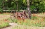 Picture of CASTROVILLE-TEXAS-USA-RUSTED ANTIQUE FARM EQUIPMENT IN A FIELD OF POPPIES