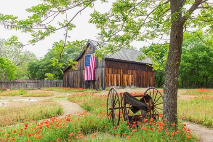 Picture of CASTROVILLE-TEXAS-USA-LARGE AMERICAN FLAG ON A BARN IN THE TEXAS HILL COUNTRY