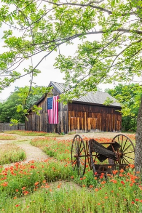 Picture of CASTROVILLE-TEXAS-USA-LARGE AMERICAN FLAG ON A BARN IN THE TEXAS HILL COUNTRY