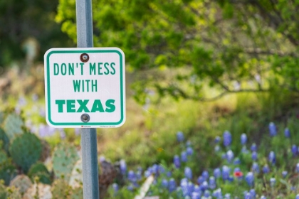 Picture of LLANO-TEXAS-USA-DONT MESS WITH TEXAS SIGN IN THE HILL COUNTRY