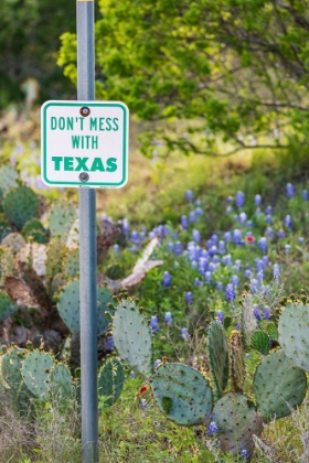 Picture of LLANO-TEXAS-USA-DONT MESS WITH TEXAS SIGN IN THE HILL COUNTRY