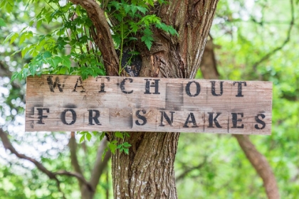 Picture of CASTROVILLE-TEXAS-USA-SIGN WARNING SNAKES IN THE TEXAS HILL COUNTRY