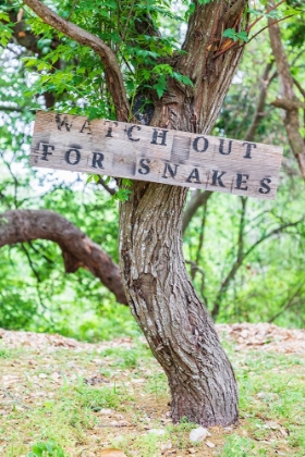 Picture of CASTROVILLE-TEXAS-USA-SIGN WARNING SNAKES IN THE TEXAS HILL COUNTRY