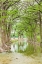 Picture of WARING-TEXAS-USA-TREES ALONG THE GUADALUPE RIVER IN THE TEXAS HILL COUNTRY