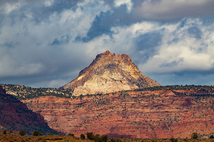 Picture of USA-UTAH MOLLIES NIPPLE FROM US HWY 89