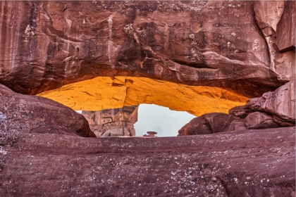 Picture of DEAD HORSE POINT-CANYONLANDS NATIONAL PARK-UTAH