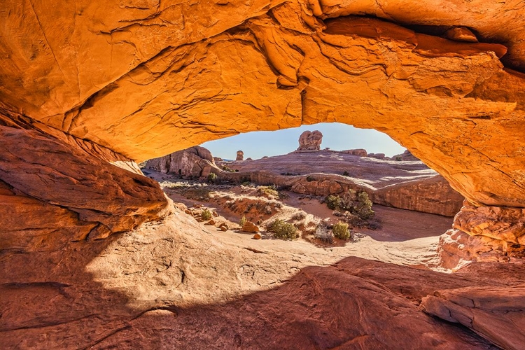 Picture of DEAD HORSE POINT-CANYONLANDS NATIONAL PARK-UTAH