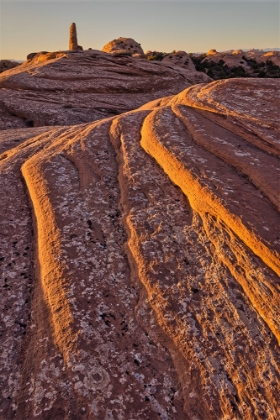Picture of ROCK ABSTRACT-MOAB-UTAH