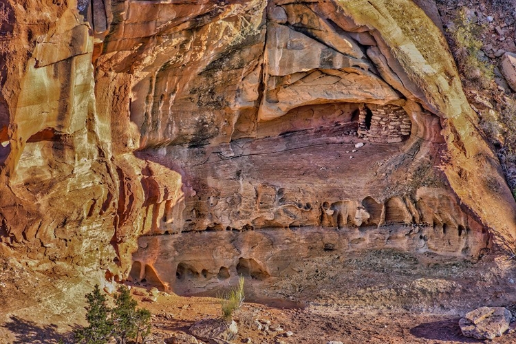 Picture of USA-UTAH-NATIONAL PARK-CANYONLANDS NATIONAL PARK-DEAD HORSE POINT-WINTER-LANDSCAPE