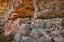Picture of LITTLE WESTWATER RUIN-CANYONLANDS NATIONAL PARK-UTAH