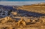 Picture of STRIKE VALLEY OUTLOOK-ESCALANTE-UTAH