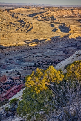 Picture of STRIKE VALLEY OUTLOOK-ESCALANTE-UTAH