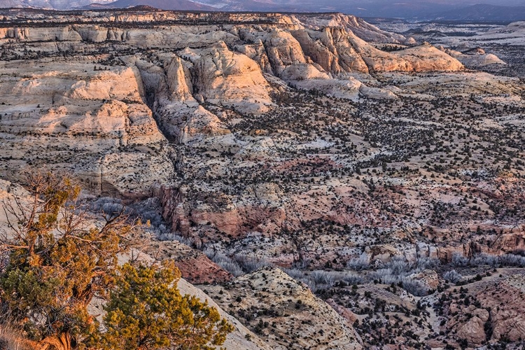 Picture of SLICKROCK-ESCALANTE-UTAH