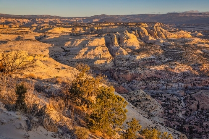 Picture of SLICKROCK-ESCALANTE-UTAH