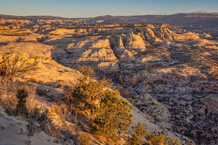 Picture of SLICKROCK-ESCALANTE-UTAH