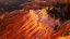 Picture of EVENING LIGHT ON CEDAR BREAKS-CEDAR BREAKS NATIONAL MONUMENT-UTAH-USA