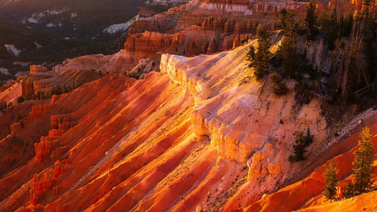 Picture of EVENING LIGHT ON CEDAR BREAKS-CEDAR BREAKS NATIONAL MONUMENT-UTAH-USA