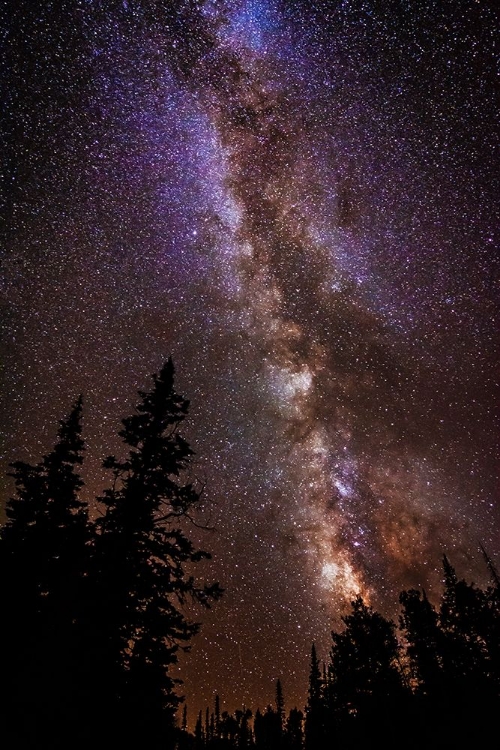 Picture of MILKY WAY OVER CEDAR BREAKS NATIONAL MONUMENT-UTAH-USA