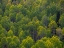Picture of USA-UTAH-EAST OF LOGAN ON HIGHWAY 89 AND ASPEN GROVE STILL GREEN
