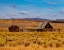 Picture of USA-UTAH-OLD WOODEN BARN AND SHED ALONG HIGHWAY 39 WEST OF WOODRUFF