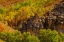 Picture of USA-UTAH-HIGHWAY 89 AND CANYON WALLS OF LOGAN PASS WITH FALL COLORS