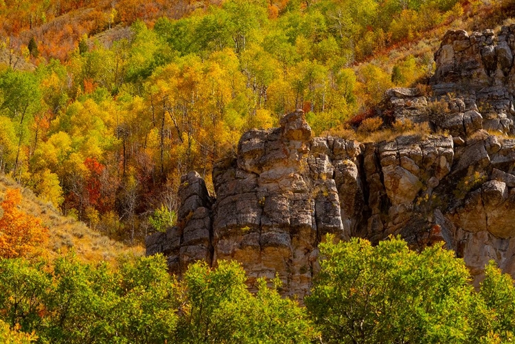 Picture of USA-UTAH-HIGHWAY 89 AND CANYON WALLS OF LOGAN PASS WITH FALL COLORS