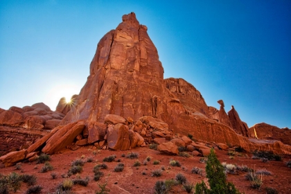 Picture of ARCHES NATIONAL PARK EVENING LIGHT-USA-UTAH