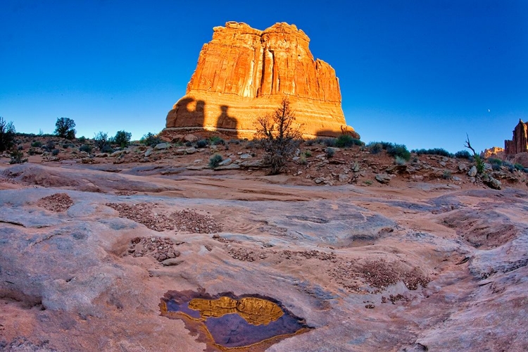 Picture of ARCHES NATIONAL PARK EVENING LIGHT-USA-UTAH