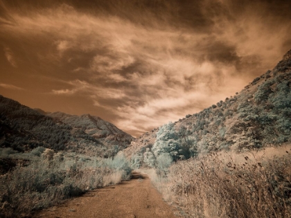 Picture of USA-UTAH-INFRARED OF BACKROAD IN THE LOGAN PASS AREA