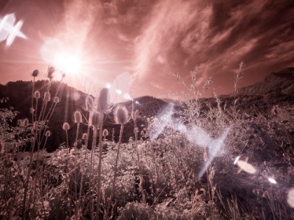 Picture of USA-UTAH-INFRARED OF THE LOGAN PASS AREA WITH SUNRAYS