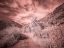 Picture of USA-UTAH-INFRARED OF BACKROAD IN THE LOGAN PASS AREA