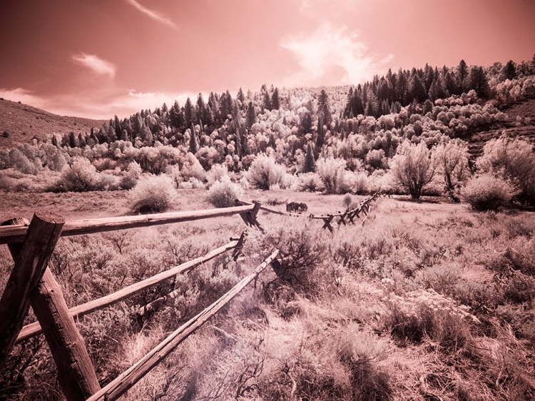 Picture of USA-UTAH-INFRARED OF THE LOGAN PASS AREA WITH LONG RAIL FENCE