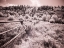 Picture of USA-UTAH-INFRARED OF THE LOGAN PASS AREA WITH LONG RAIL FENCE