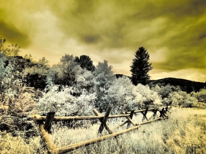 Picture of USA-UTAH-INFRARED OF THE LOGAN PASS AREA WITH SPLIT RAI FENCE