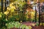 Picture of USA-VERMONT-MORRISVILLE-JOPSON LANE FALL FOLIAGE